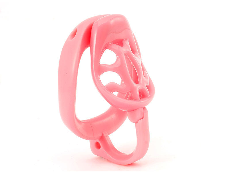 Dragon Turtle Chastity Lock JSSMATE