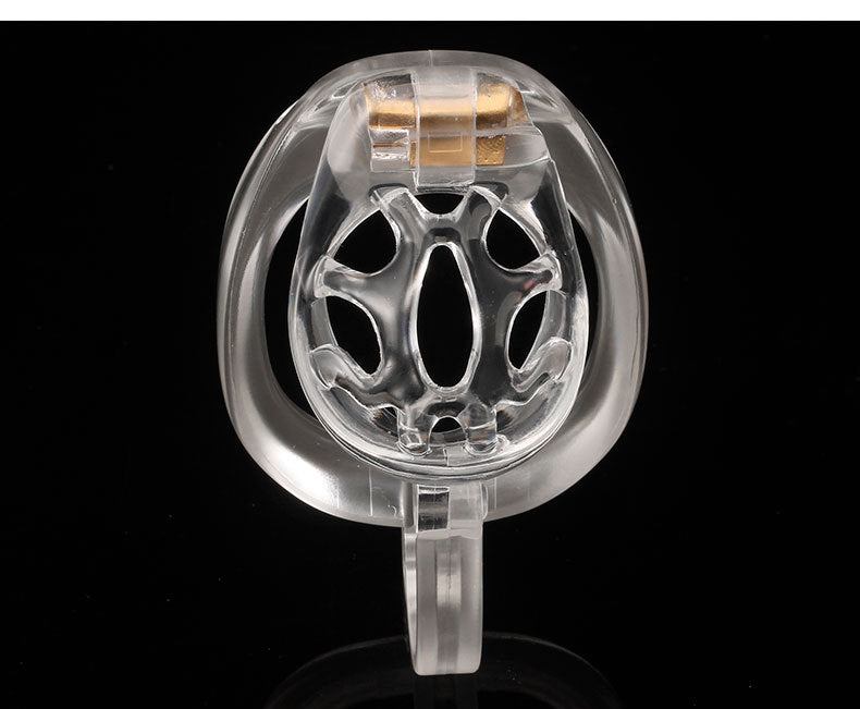 Dragon Turtle Chastity Lock JSSMATE