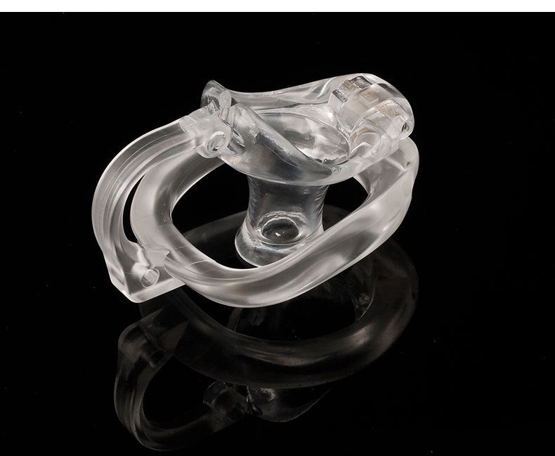 Dragon Turtle Chastity Lock JSSMATE