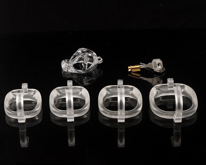 Dragon Turtle Chastity Lock JSSMATE