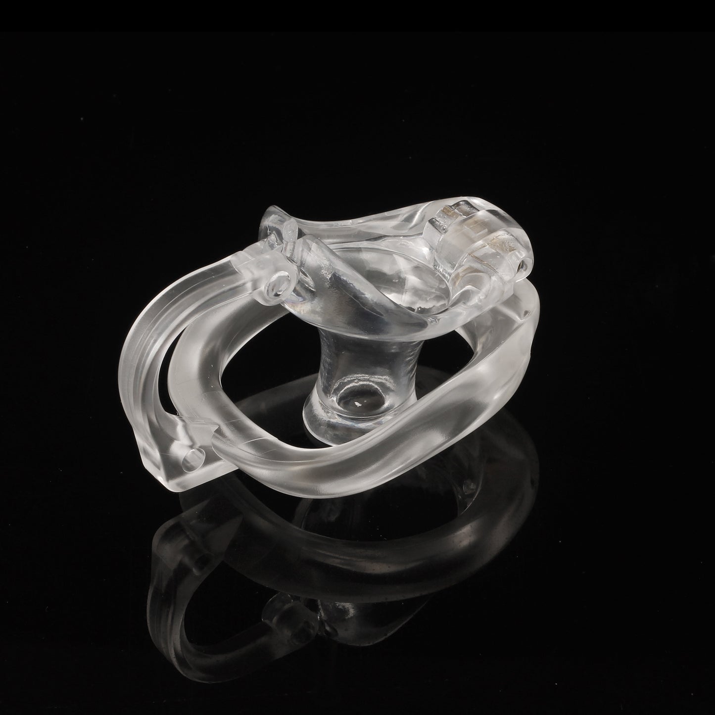 Dragon Turtle Chastity Lock JSSMATE