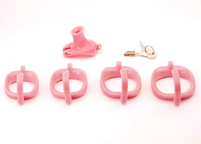 Dragon Turtle Chastity Lock JSSMATE