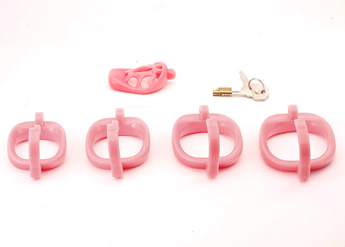 Dragon Turtle Chastity Lock JSSMATE