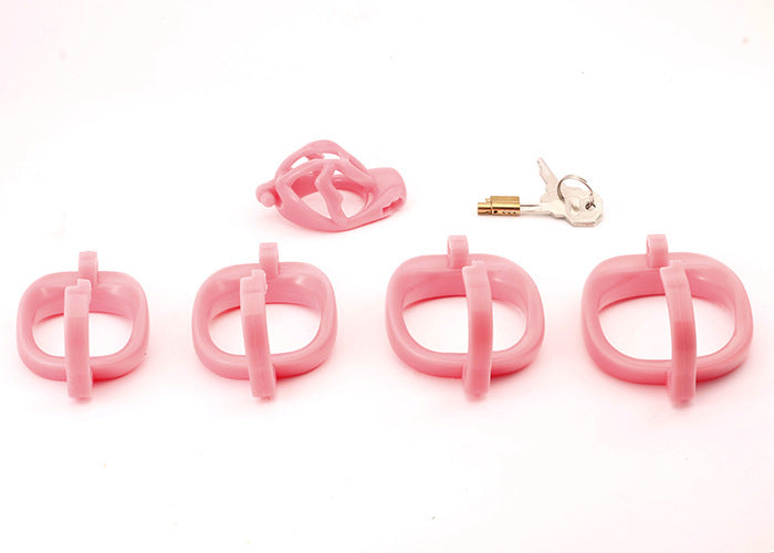 Dragon Turtle Chastity Lock JSSMATE