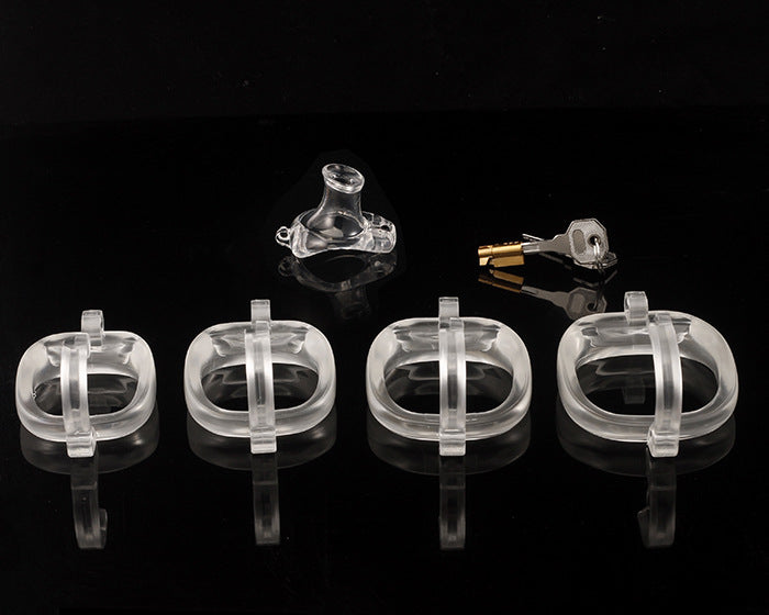 Dragon Turtle Chastity Lock JSSMATE