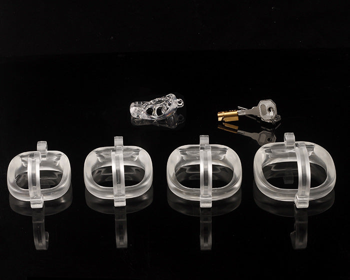 Dragon Turtle Chastity Lock JSSMATE