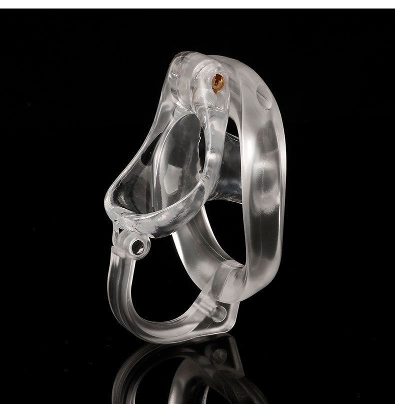 Dragon Turtle Chastity Lock JSSMATE