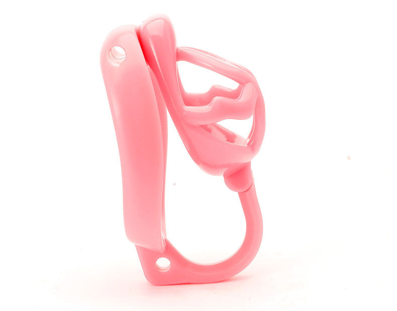 Dragon Turtle Chastity Lock JSSMATE